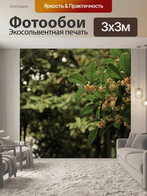 Фотообои Цветы