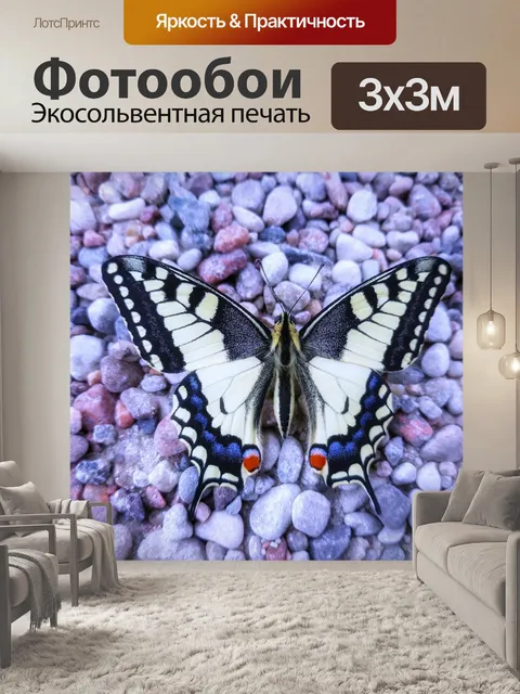 Фотообои Бабочка