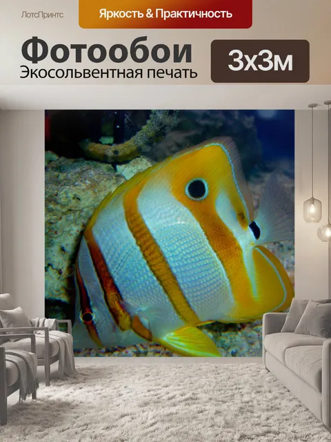 Фотообои Fish
