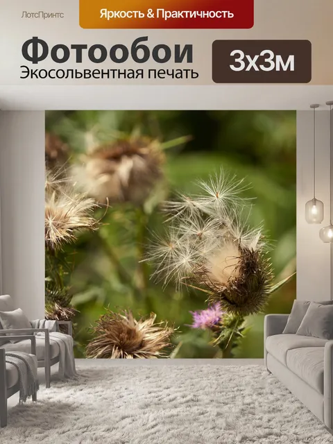 Фотообои Чертополох осенью