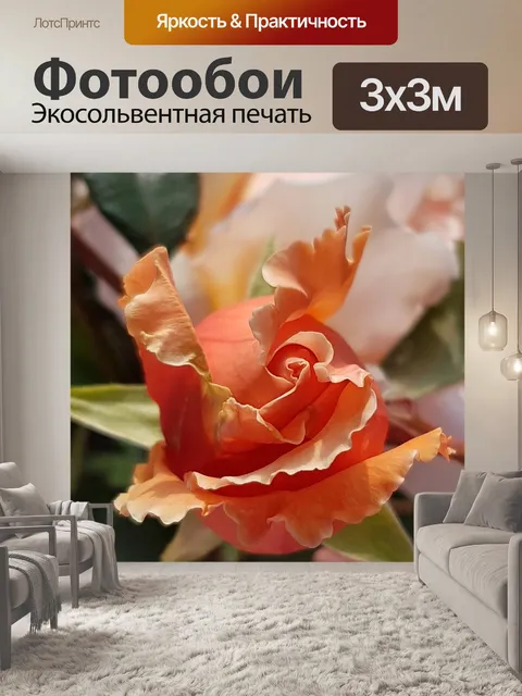 Фотообои Роза