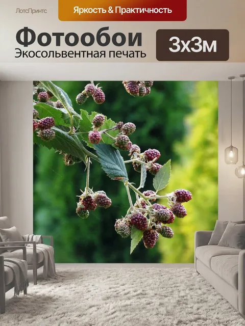 Фотообои Лес