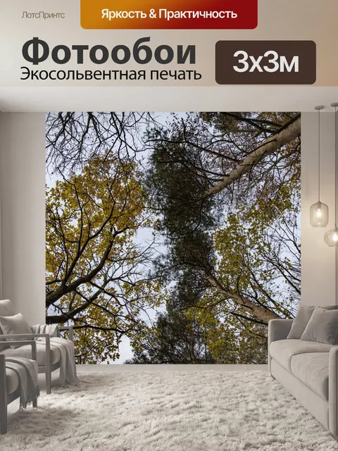 Фотообои Осенние листья