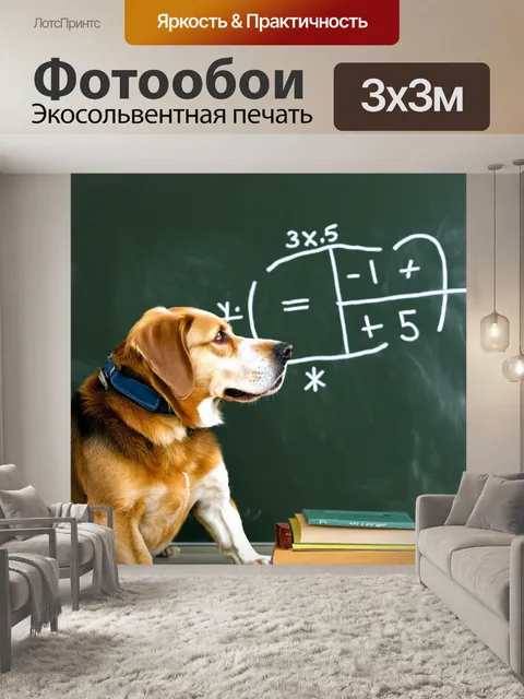 Фотообои собака, решающая математическую задачу на доске