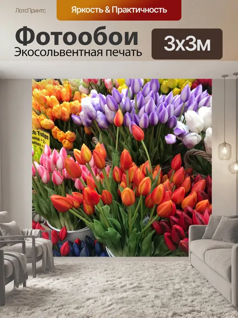 Фотообои Тюльпаны