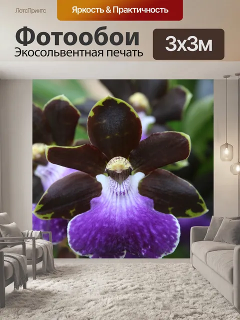 Фотообои Цветок