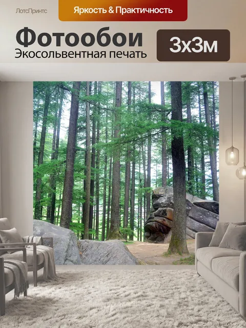 Фотообои Сосновый лес