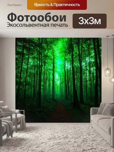 Фотообои градиент загадочного леса к свету
