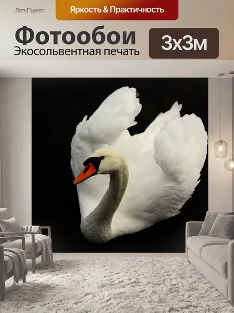 Фотообои Птица