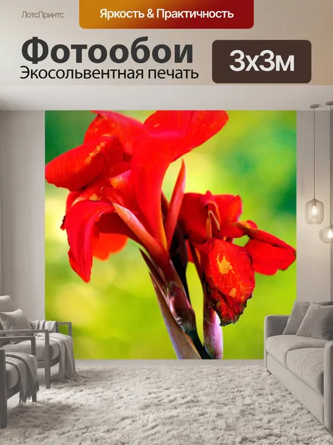 Фотообои Цветы