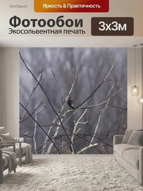 Фотообои Птица