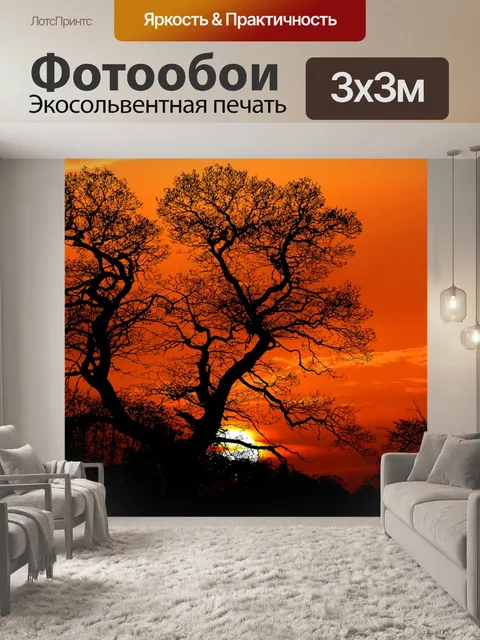 Фотообои Заход солнца