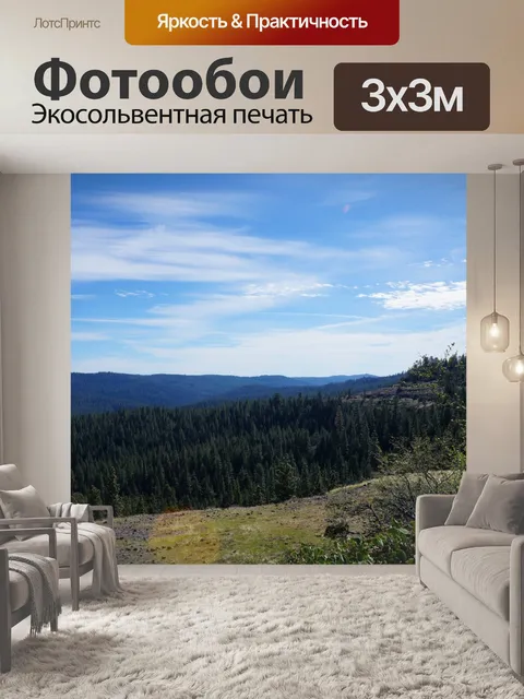 Фотообои Перспектива