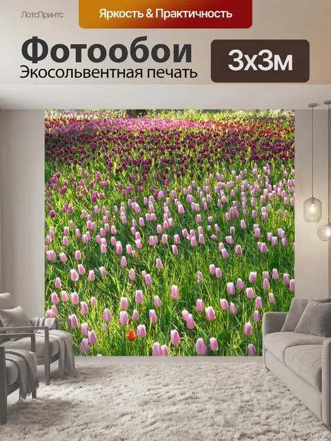 Фотообои Поле тюльпанов