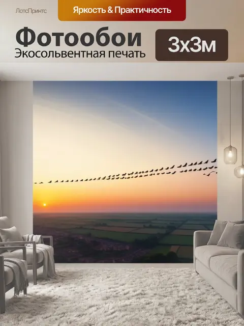 Фотообои рассвет с голубями, парящими в небе