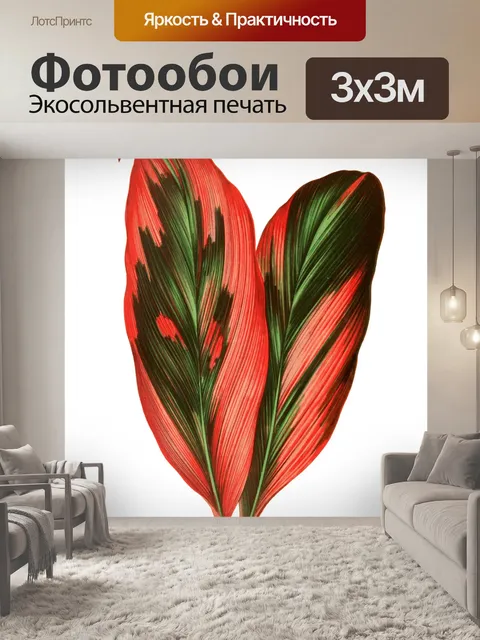Фотообои Листва лист растение прозрачный