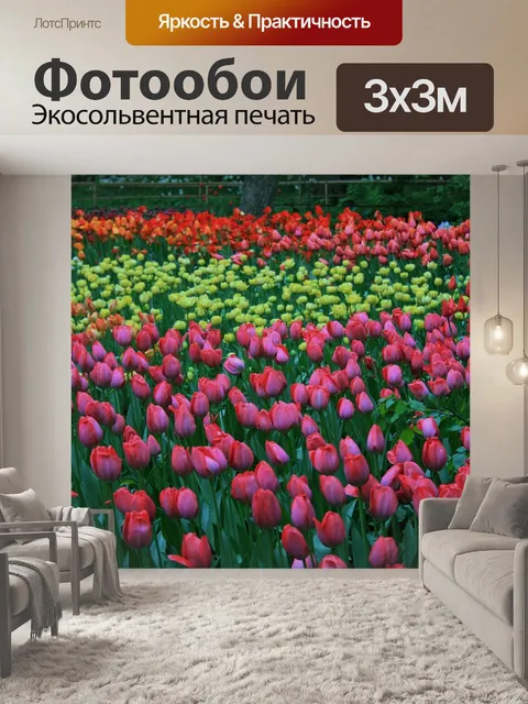 Фотообои тюльпаны, ботанические сады, москва