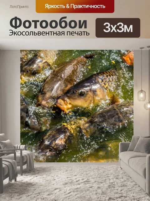 Фотообои Карп