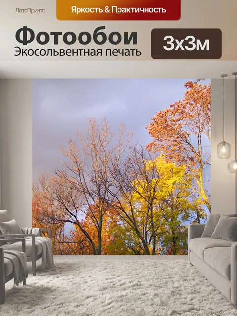Фотообои Осенние деревья и угрожая Облачность