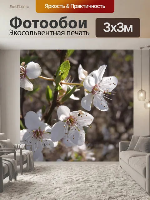 Фотообои Белые цветы