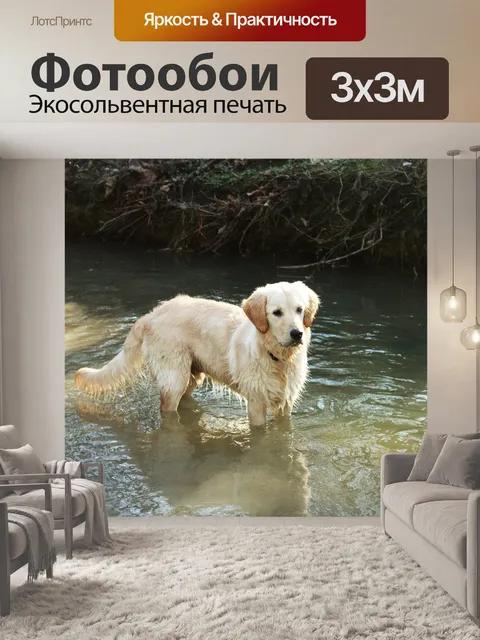 Фотообои Собака