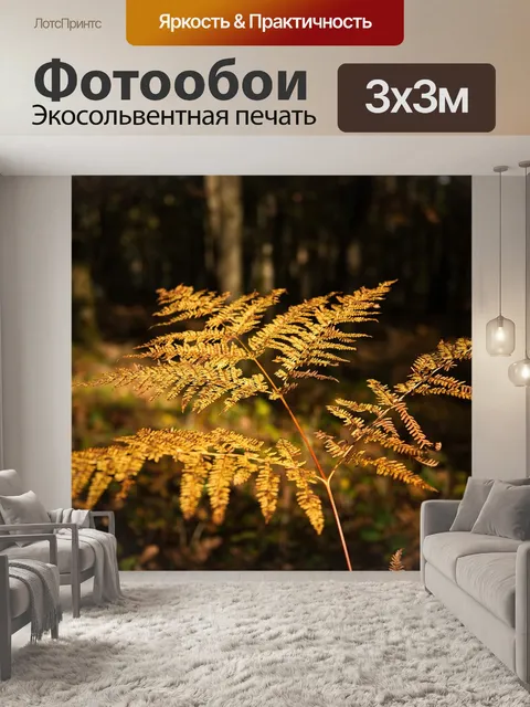 Фотообои Осень