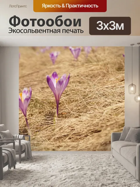 Фотообои Цветы