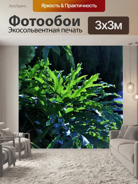 Фотообои деревья и растительность