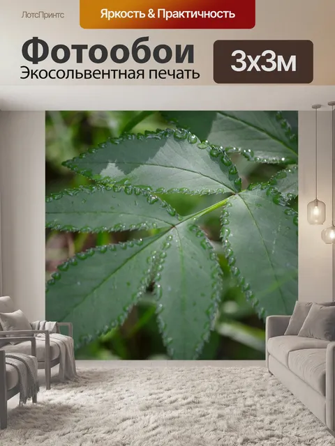 Фотообои Листья