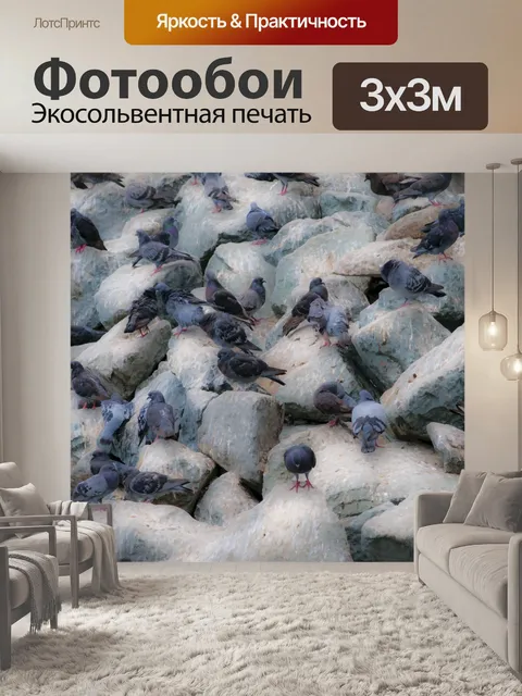 Фотообои Голуби