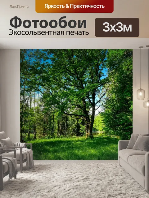 Фотообои Лес