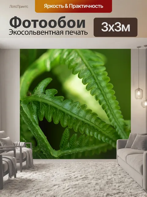 Фотообои Лист