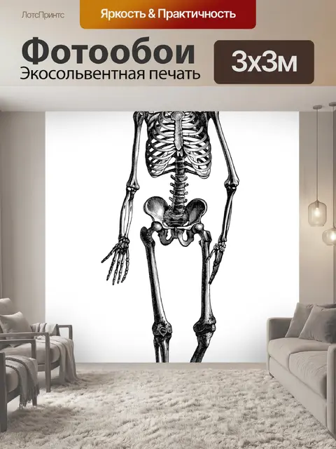 Фотообои Скелет Клипарт Винтаж Старый