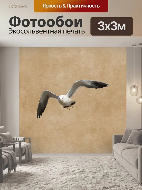 Фотообои Птица