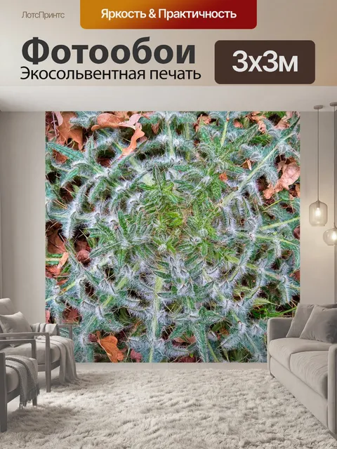 Фотообои Природа