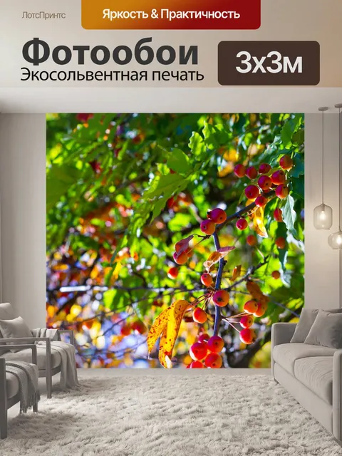 Фотообои Лес
