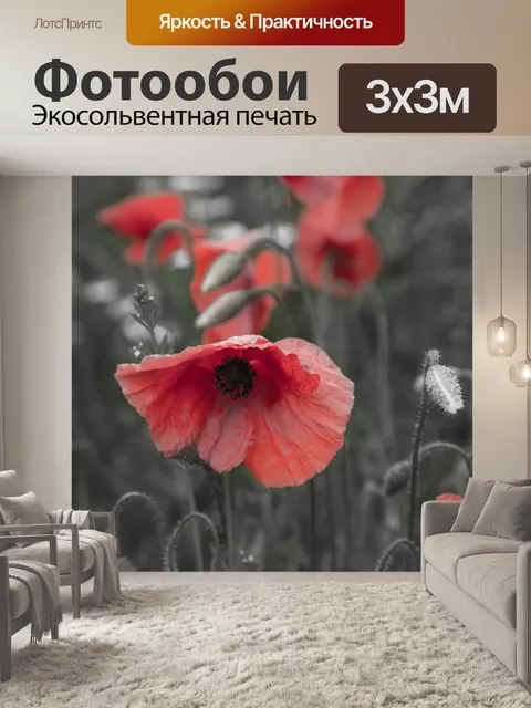 Фотообои Мак цветок