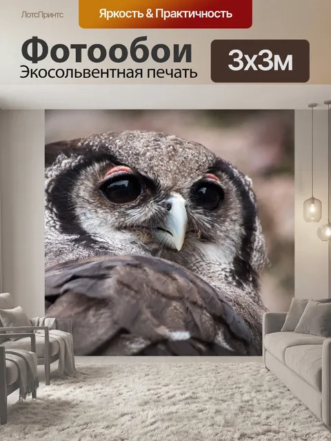 Фотообои Филин