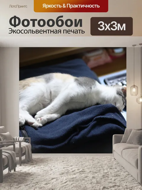 Фотообои Кошка
