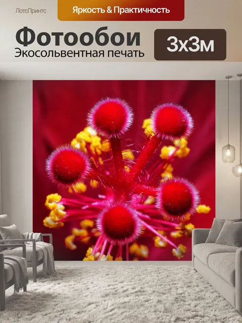 Фотообои Цветок