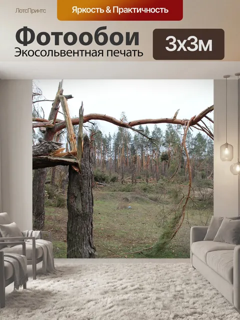 Фотообои Дерево