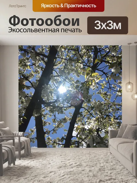 Фотообои Солнце
