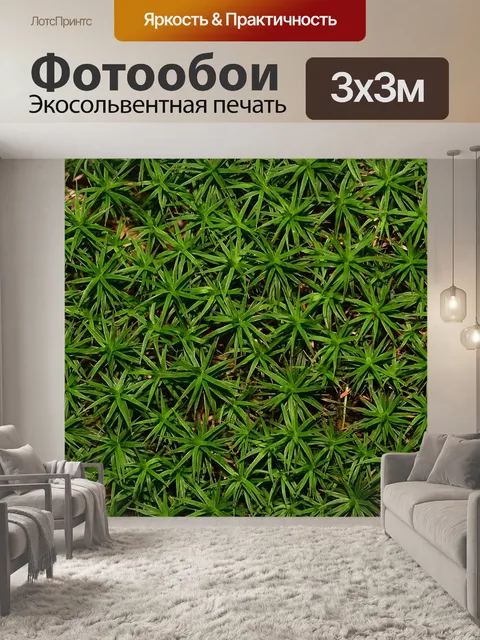 Фотообои Природа