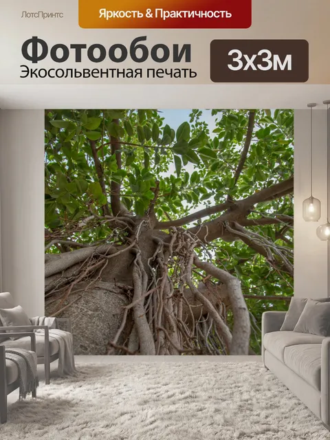 Фотообои Красивое зеленое дерево
