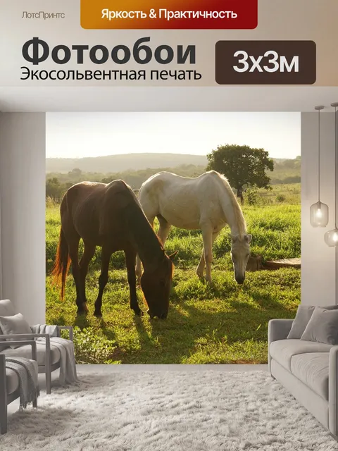 Фотообои Лошади
