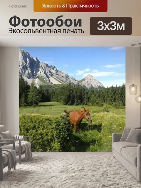 Фотообои Лошадь