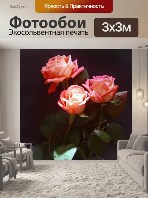 Фотообои Роза в позе 24