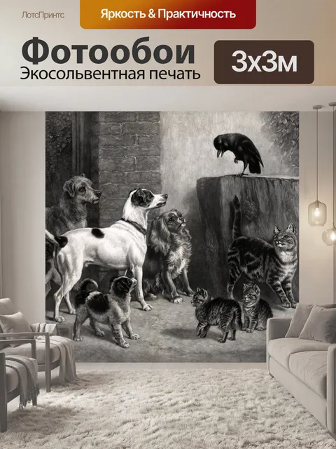 Фотообои Собаки и кошки