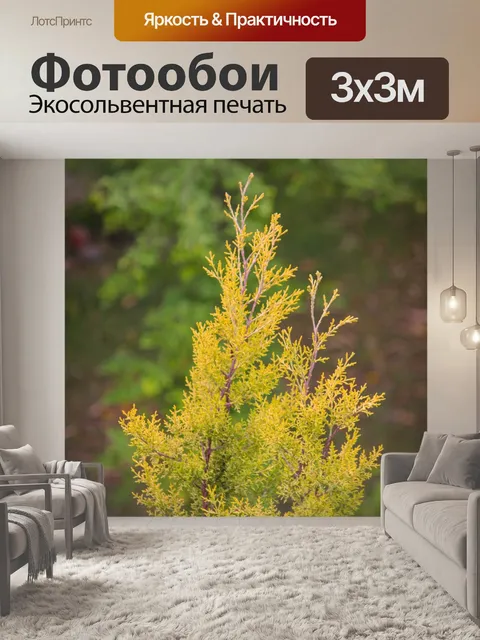 Фотообои Дерево