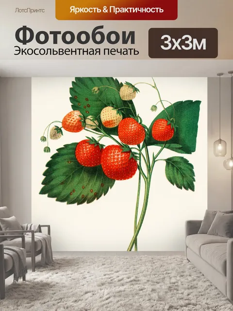 Фотообои Клубника фрукты фрукты арт